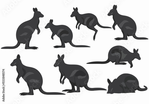 Wallaby animal wildlife nature kangaroo marsupial