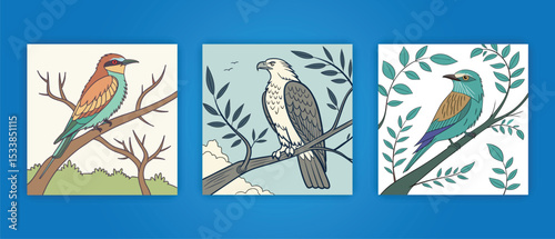  Nice Bird 3 item design