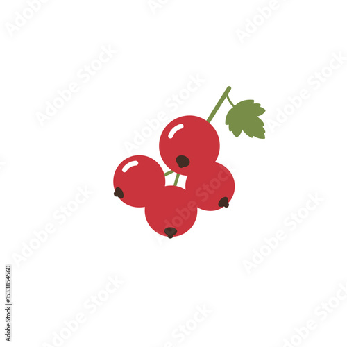 Vibrant red currant berries hanging from a green stem against a clean white background