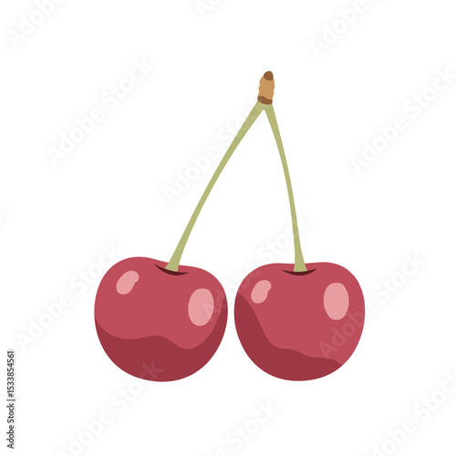Two ripe cherries connected by their stems against a clean white background
