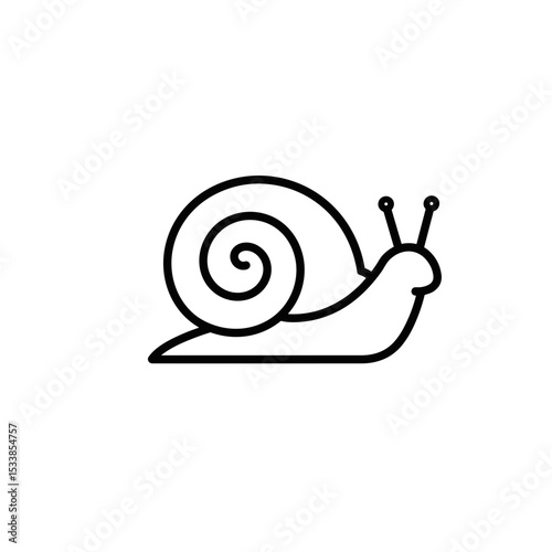 Line drawing of a snail in a simple illustration style  