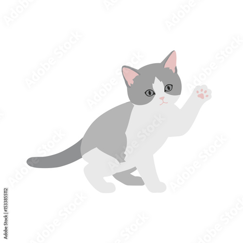 Playful gray and white cat waving its paw in a minimalist setting, perfect for pet themes