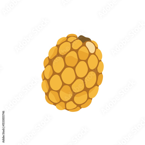 A close-up view of a textured yellow fruit resembling a honeycomb, isolated