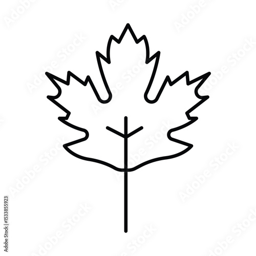 Maple Leaf thinline icon , vector, pixel perfect, illustrator file 
