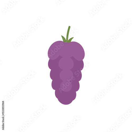 A vibrant purple grape cluster with a green stem on a white background, ideal for food themes