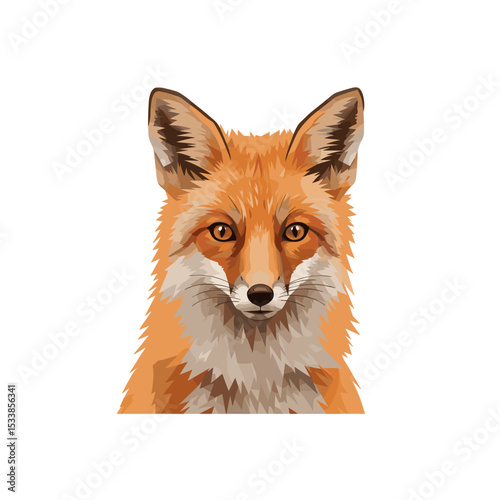 A detailed illustration of a fox with striking orange fur and keen eyes, set against a plain background