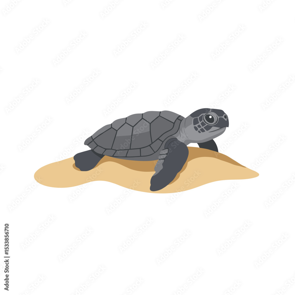 Fototapeta premium A baby sea turtle emerging from the sandy beach, heading towards the ocean waves