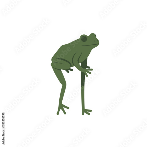 Green frog perched on a stick in a minimalistic nature setting, emphasizing tranquility