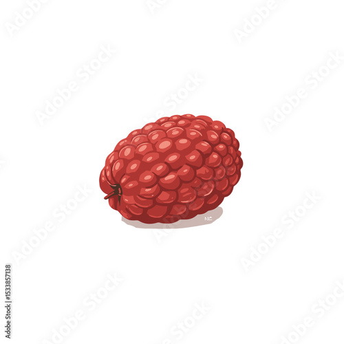 A vibrant raspberry resting on a white background, showcasing its rich texture and color