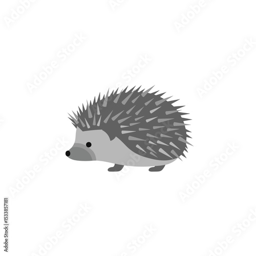 A cute hedgehog walking on a white background, showcasing its spiky fur and small features