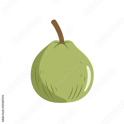 A vibrant green pear with a brown stem set against a clean white background