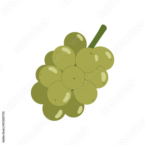 Illustration of a cluster of green grapes on a simple white background, ideal for food-related designs