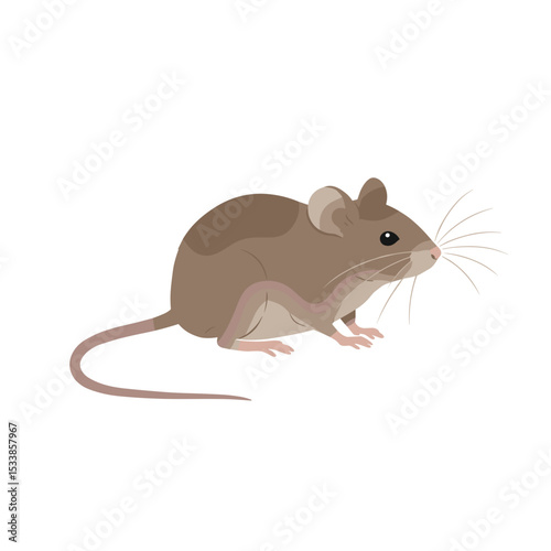 Cute cartoon mouse sitting on a clean white background, ideal for educational materials