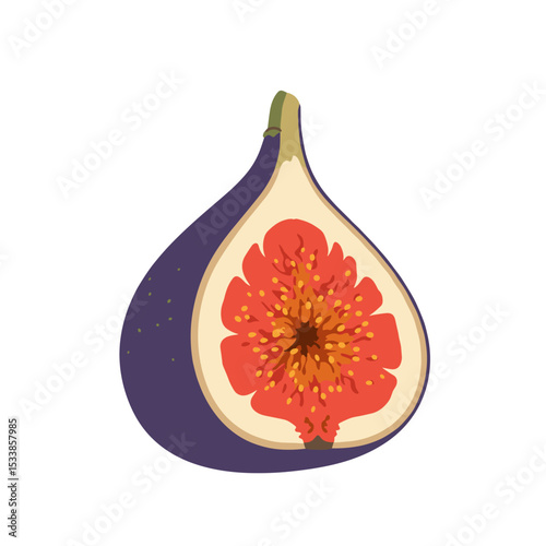 Close-up of a ripe fig showcasing its vibrant interior and natural texture