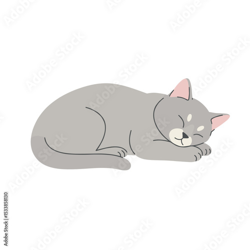 A serene gray cat peacefully sleeping on a soft surface, with a minimalist background
