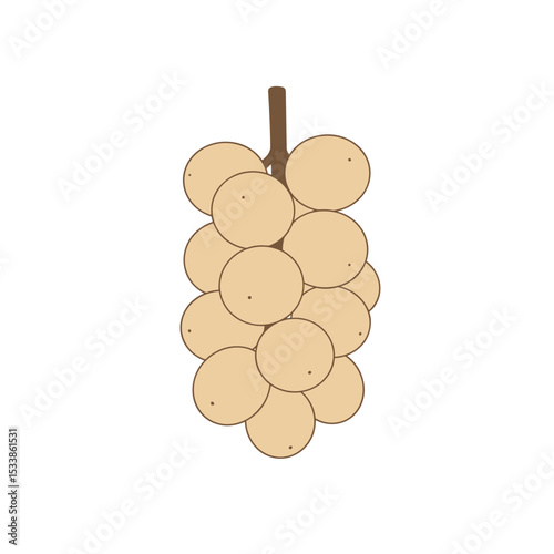 Cluster of round, beige grapes hanging from a vine against a plain background