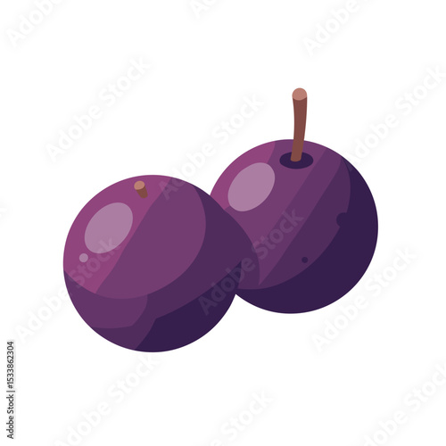 A close-up illustration of two ripe plums with vibrant colors against a white background