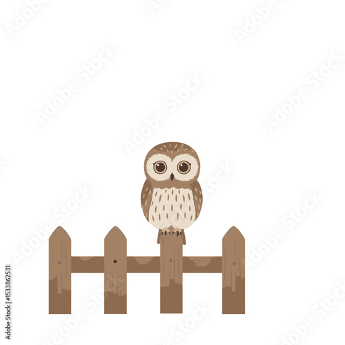 Cute cartoon owl standing on a white background, ideal for children's illustrations