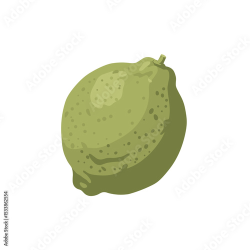A close-up of a textured green lemon showcasing its natural imperfections against a white background