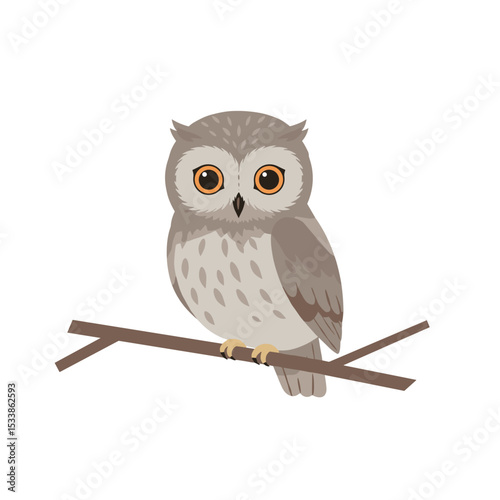 A cute cartoon owl perched on a branch against a minimalistic white background