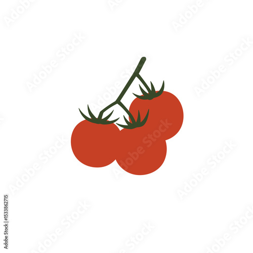 A vibrant illustration of three ripe tomatoes on a green stem against a white background