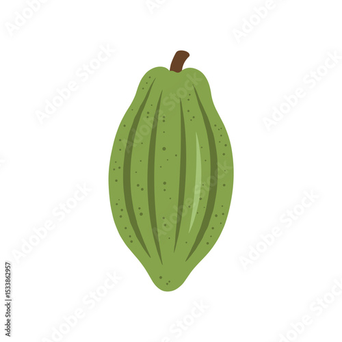 A vibrant green cactus with textured skin and a brown stem against a white background