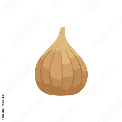 Close-up of a beautifully textured fig on a plain background, highlighting its natural beauty