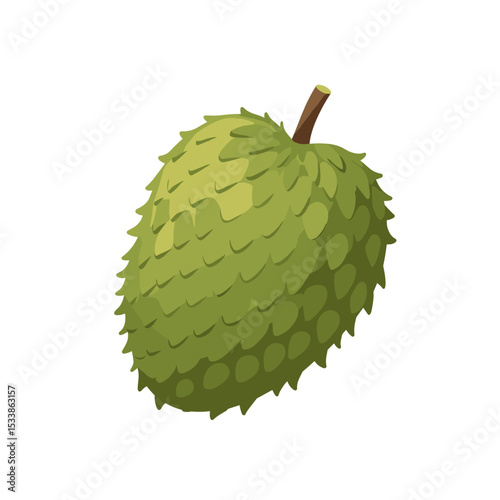 A vibrant green durian fruit with a textured exterior, set against a clean background