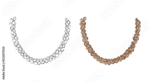 Sea shell necklace hand drawing doddle illustration 