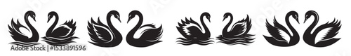 Illustration of five black swans in different positions