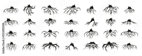 Tree roots silhouette collection. Set of black tree roots silhouettes. Tree root logo collection. Vector illustration