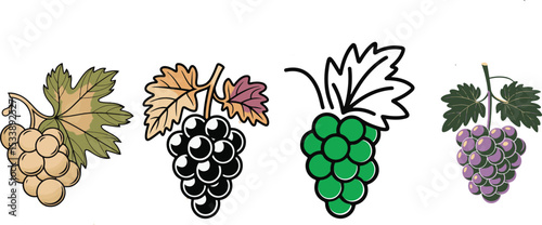 Vibrant Grapes A Colorful Collection of Wine Grape Varieties