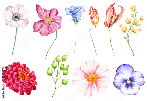Fototapeta Naklejka Na Ścianę i Meble -  Watercolor flowers digital illustration, botanical spring summer design, watercolor hand drawn floral illustration, pink roses, wild Flowers and leaves, 