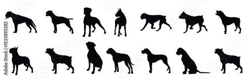 Set of dog boxer vector silhouettes