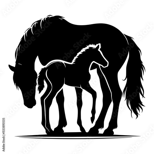 Silhouette of mare and foal standing together