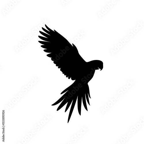Silhouette of a parrot with wings spread in flight against white background
