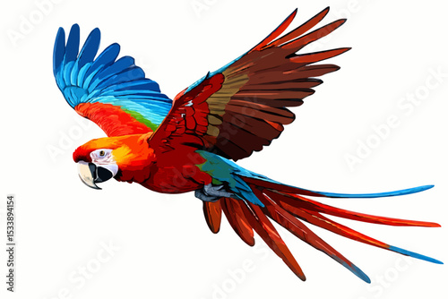 scarlet macaw in flight with wings spread against a white background