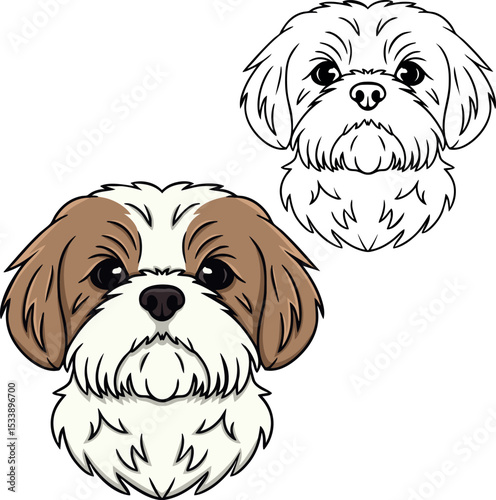 Shih tzu dog vector