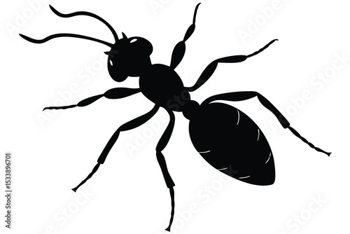 Silhouette of an Ant Detailed View of Insect's Body Structure and Antennae