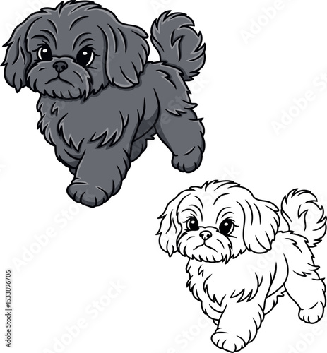 Shih tzu dog vector
