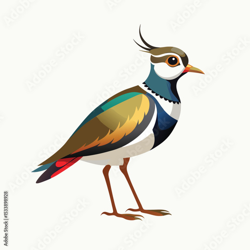 vector of northern-lapwing