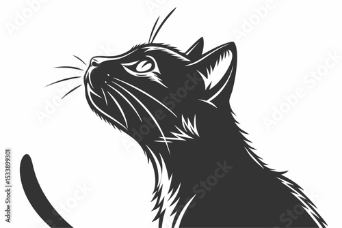 vector isolated silhouette cat set