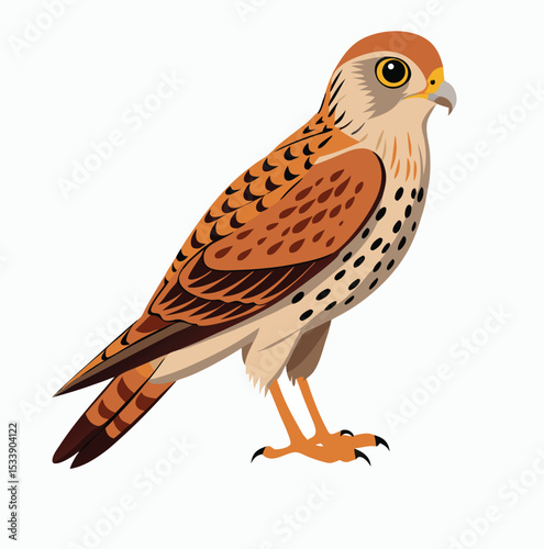 bird of Falcon Stoke