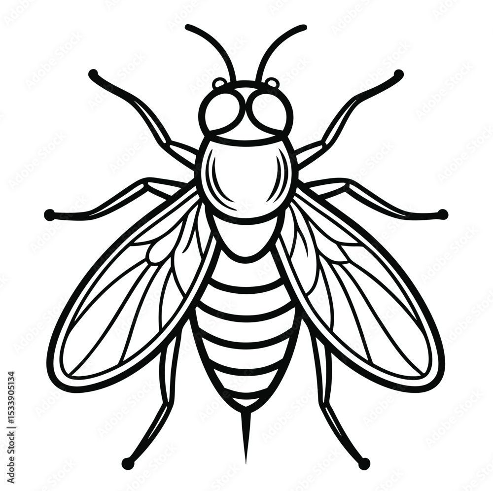 Fototapeta premium Adobe Illustrator Artwork