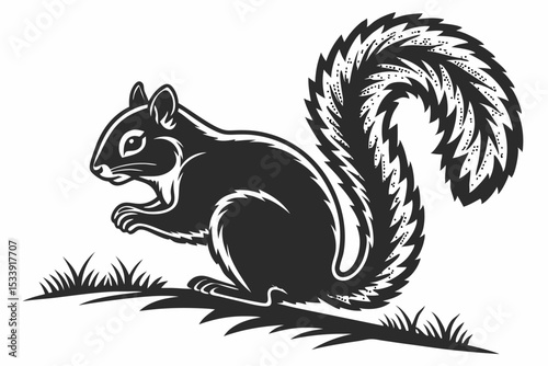 squirrel vector silhouette