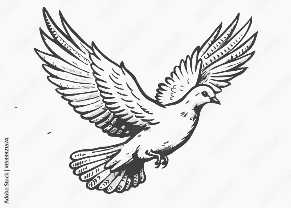 Obraz premium White pigeon bird vintage style Minimalist concept vector illustration