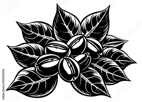 Silhouette coffee with ink for banner, packaging, advertising Sketch coffee beans with vintage style Isolated on white background