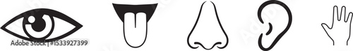 Zintuigen ruiken zicht gehoor aanraking smaak pictogram vector illustratie, Human sense icons. Five human senses icons. Vision smell hearing touch taste senses fillings. Five fillings icons.