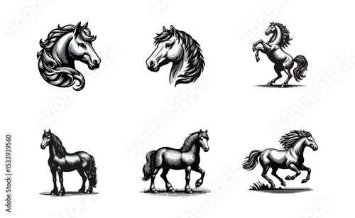 Horse engrave logo icon design illustration black white