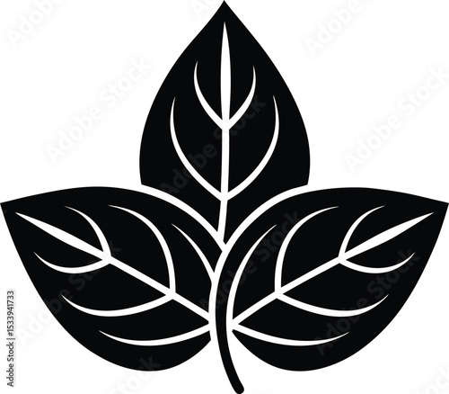 Basil Leaf Icon Outline Vector Illustration